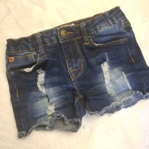 Hudson ripped toddler Jean's girls size 4 (D15)